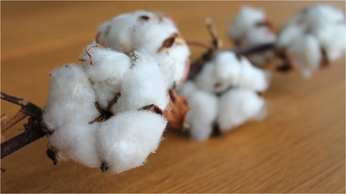 グッズ制作会社のこだわり