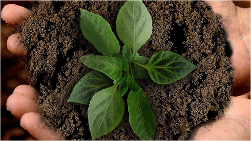 ホンモノのサステナブルなグッズ制作